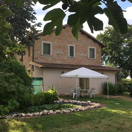Ferienwohnung Fiordiloto Monsampolo Del Tronto Exterior foto